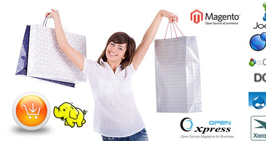 ECOMMERCE WEBSITES